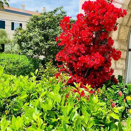 Hotel La Garoupe-gardiole Antibes