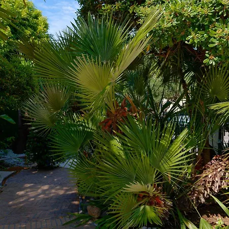 La Garoupe-gardiole Boutique 3* Antibes