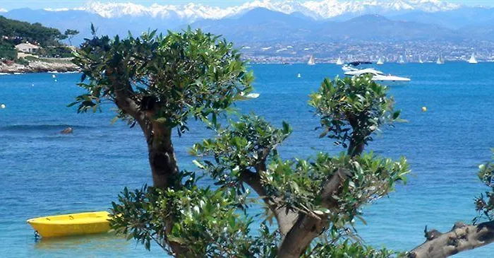 Hotel La Garoupe-gardiole Boutique 3*