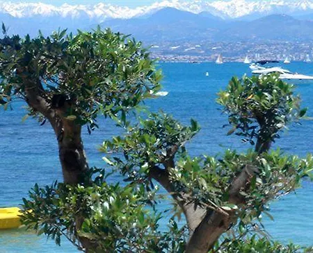 Hotel La Garoupe-gardiole Boutique 3*