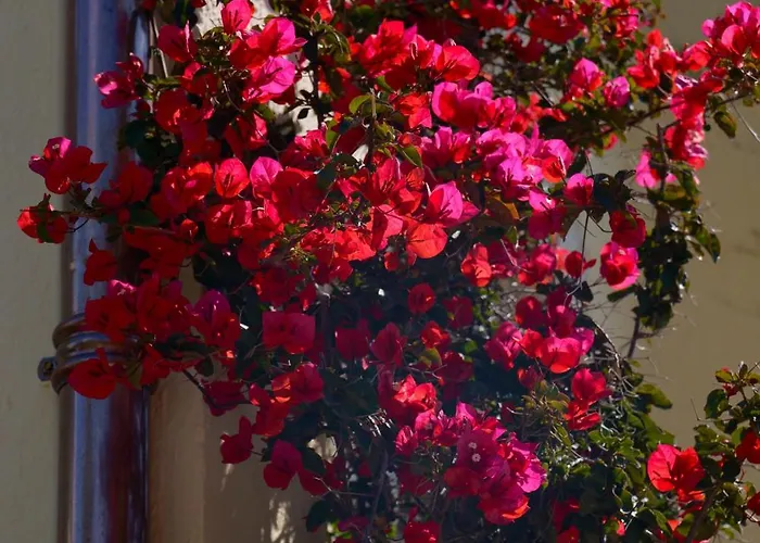 La Garoupe-gardiole Boutique Hotel Antibes